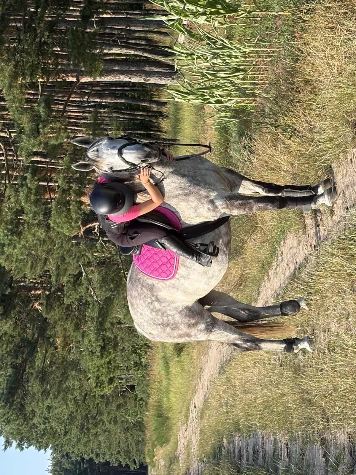 Pasja do jeździectwa — Starhorses